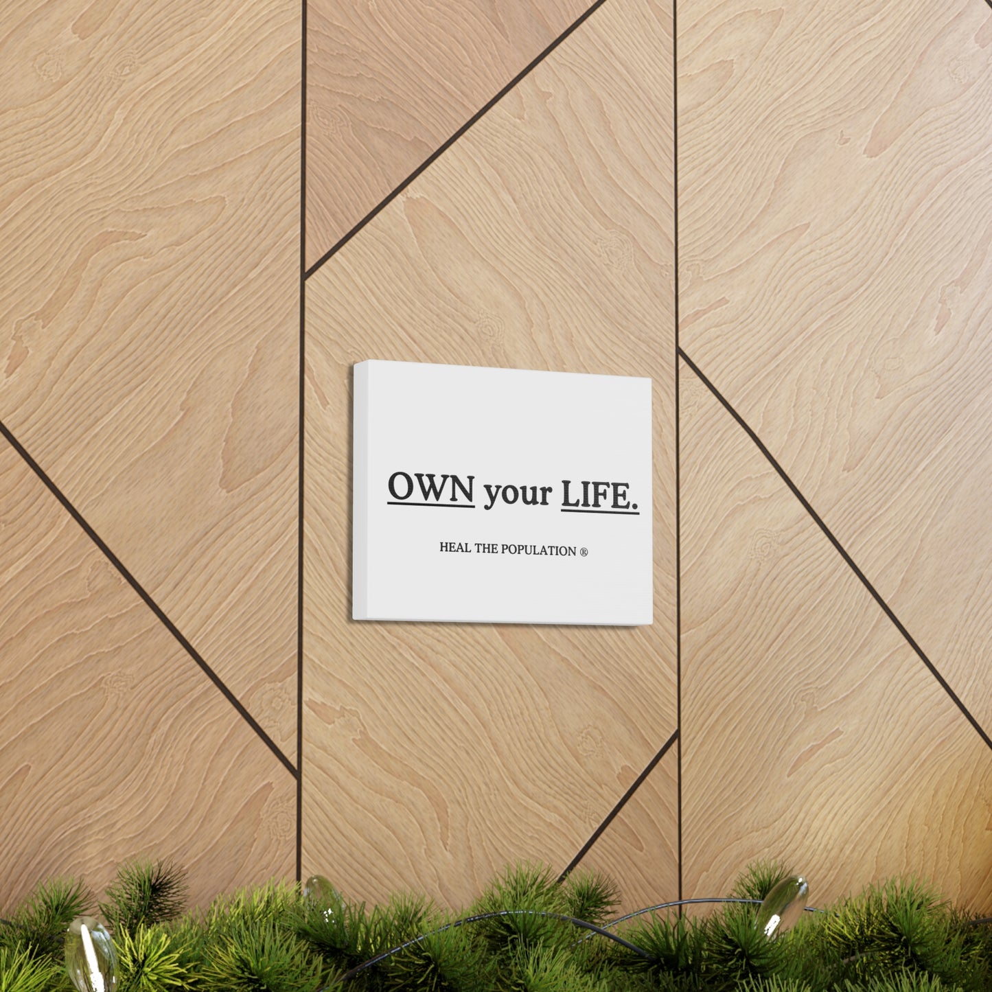 OWN Your LIFE Canvas